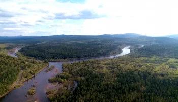 Я свободен..( I am free..) или как хочется вырваться из рутинной жизни